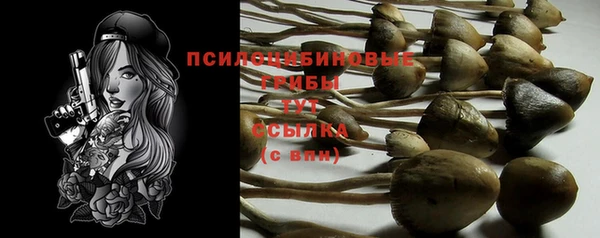 МДПВ Слюдянка