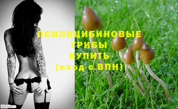 эйфоретик Сосновый Бор