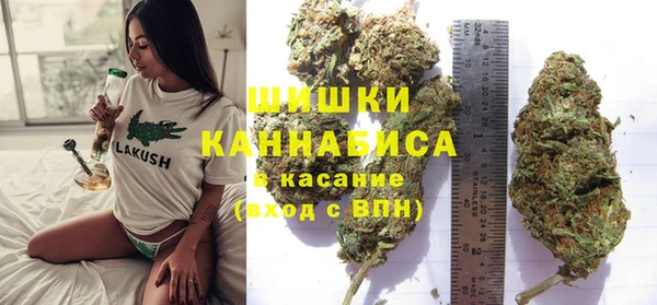 трава Снежинск
