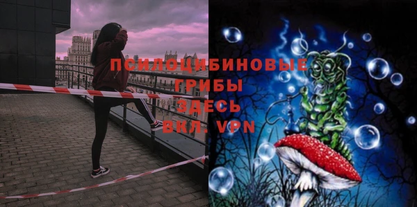 трава Снежинск