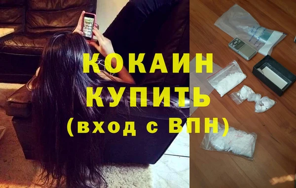 стафф Сосновоборск