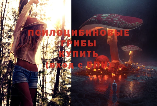 МДПВ Слюдянка